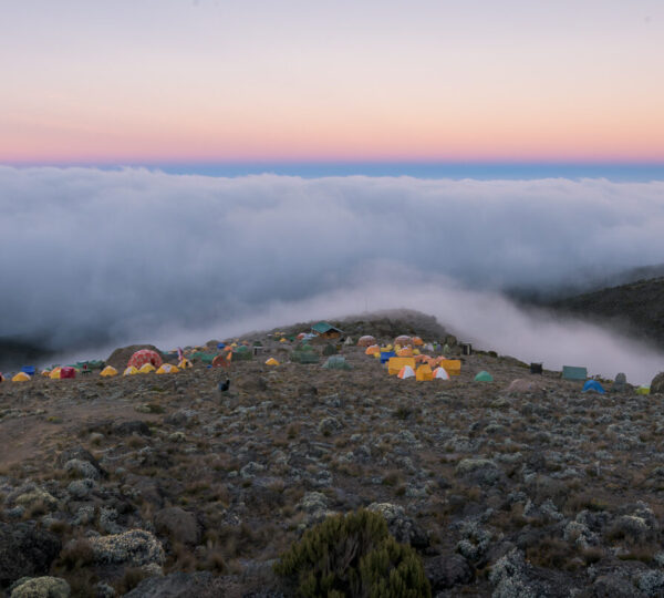 Climb Kilimanjaro Via Lemosho Route 8 Days