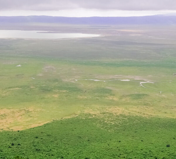 6 Days Lake Manyara, Serengeti, Ngorongoro, Tarangire