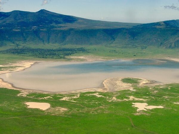 5 days – Serengeti | Ngorongoro crater | Lake Manyara
