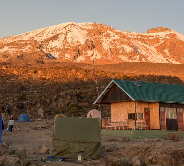 Climb Kilimanjaro Via Northern Circuit Route 8 Days
