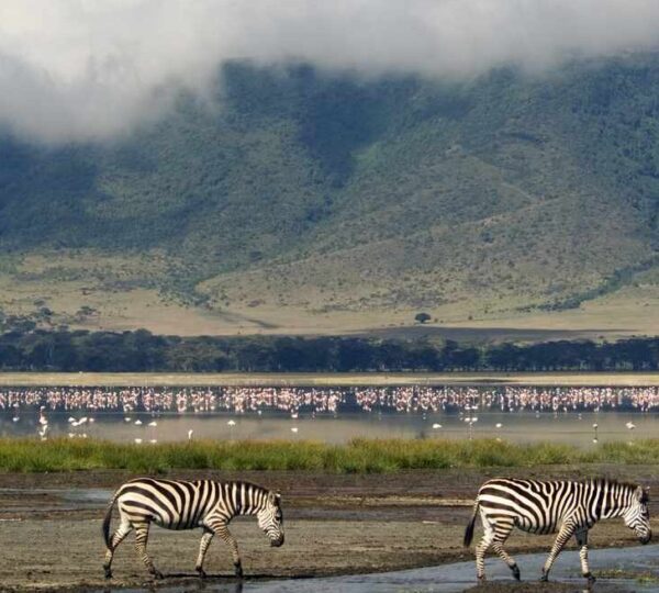 Arusha – Ngorongoro Crater