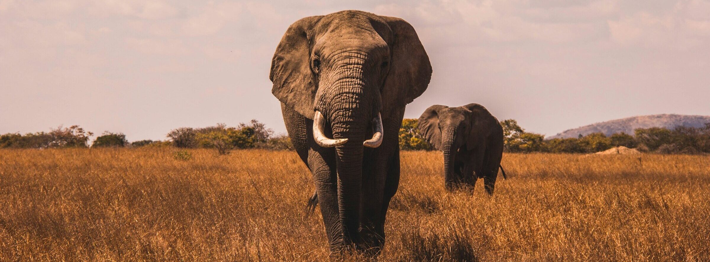 TARANGIRE NATIONAL PARK
